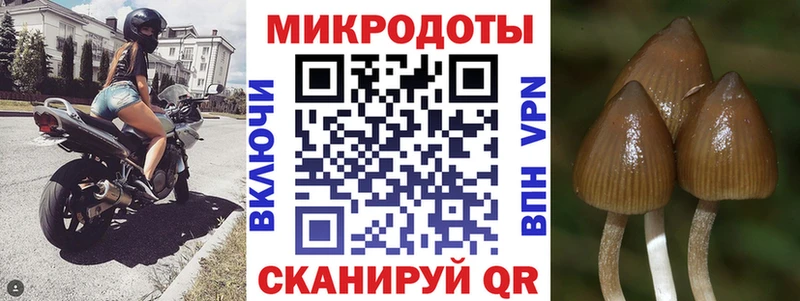 Псилоцибиновые грибы мицелий  KRAKEN tor  Афипский 